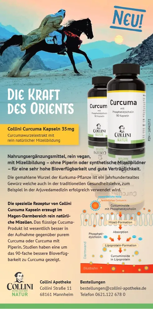Curcuma-Teil-1