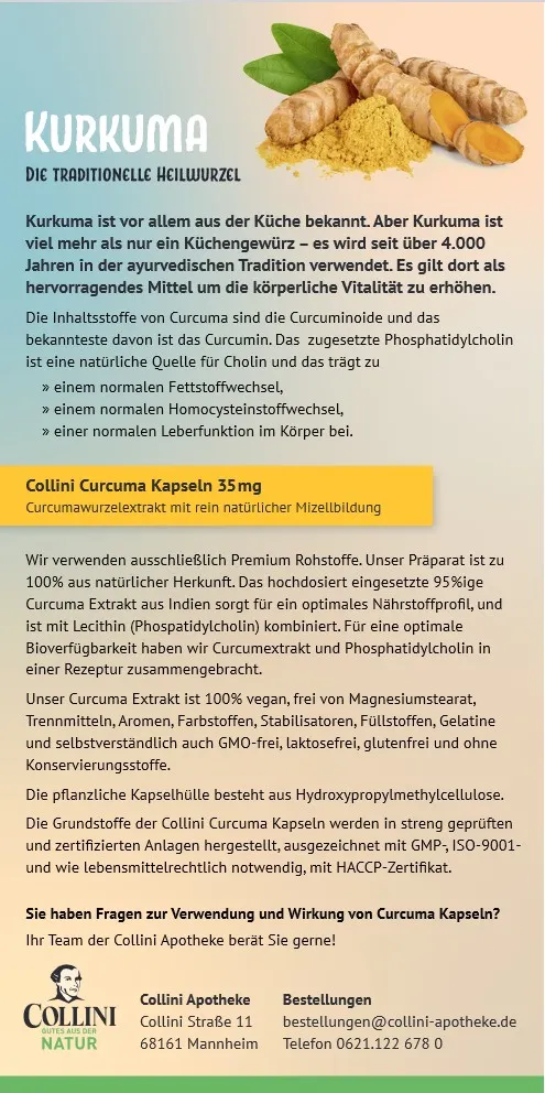 Curcuma-Teil-2